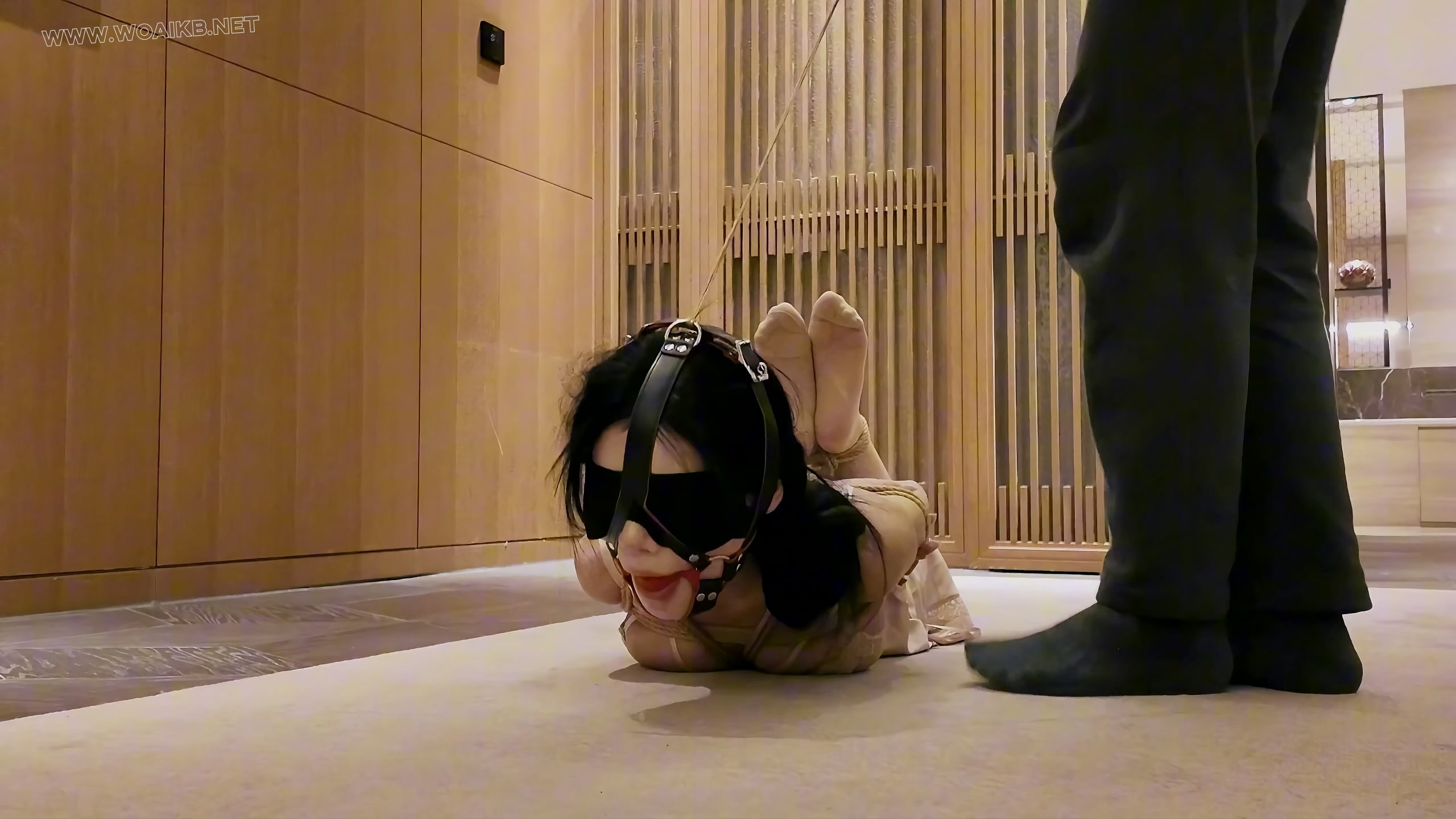 第十九部《人妻惩戒所 汤圆篇》（中集） 预览图