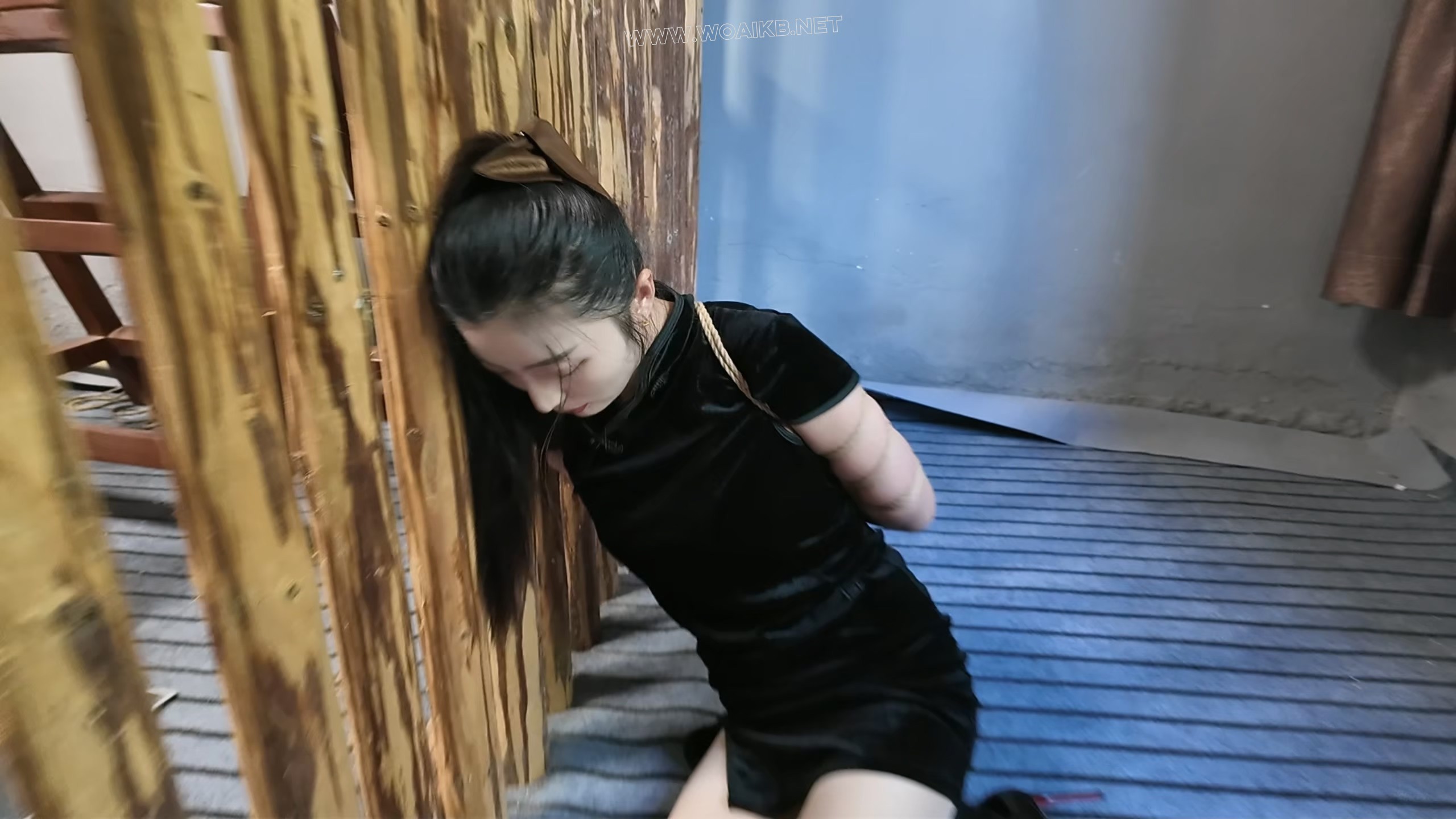 枪决罪犯佳佳 预览图
