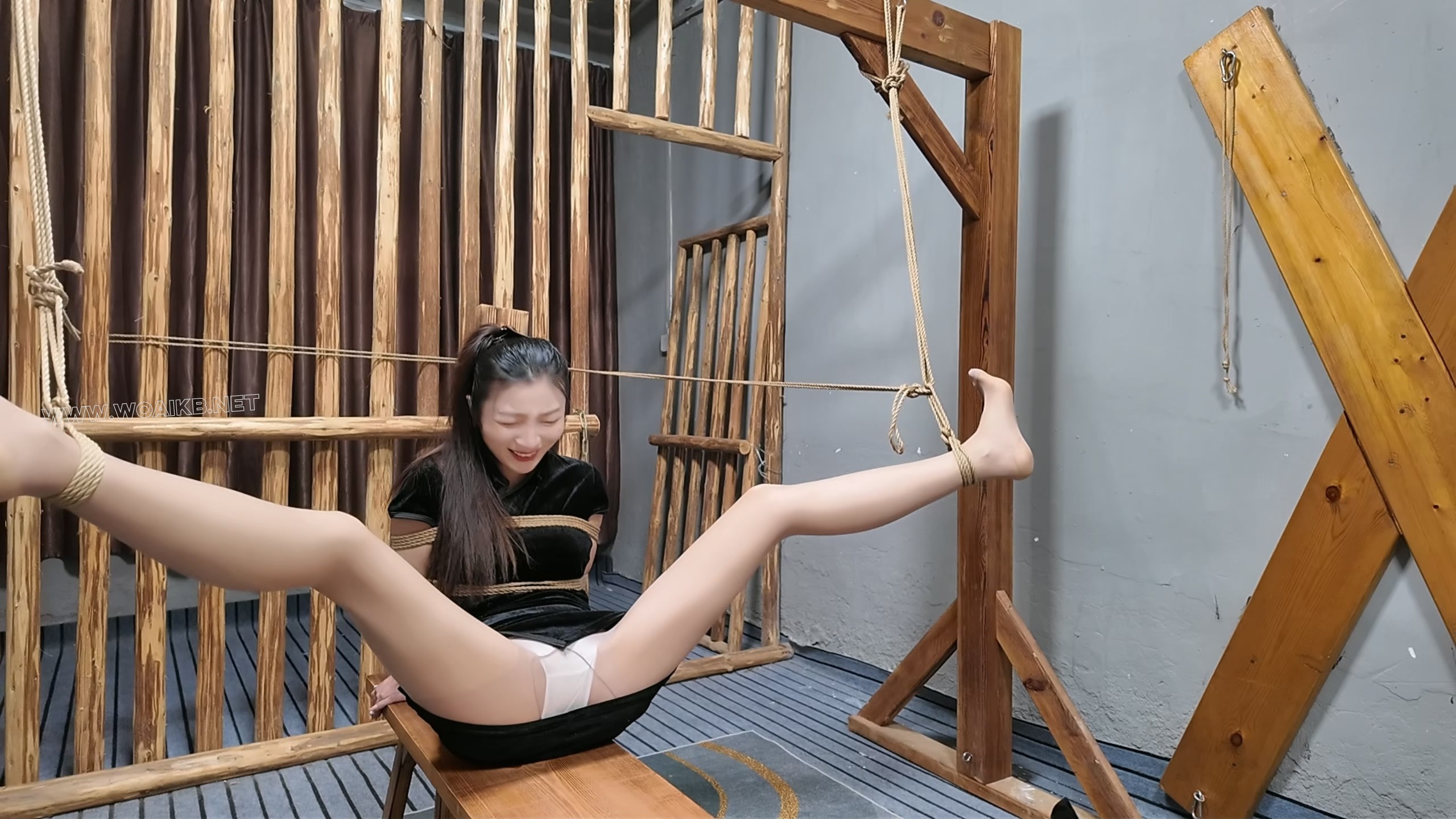 枪决罪犯佳佳 预览图