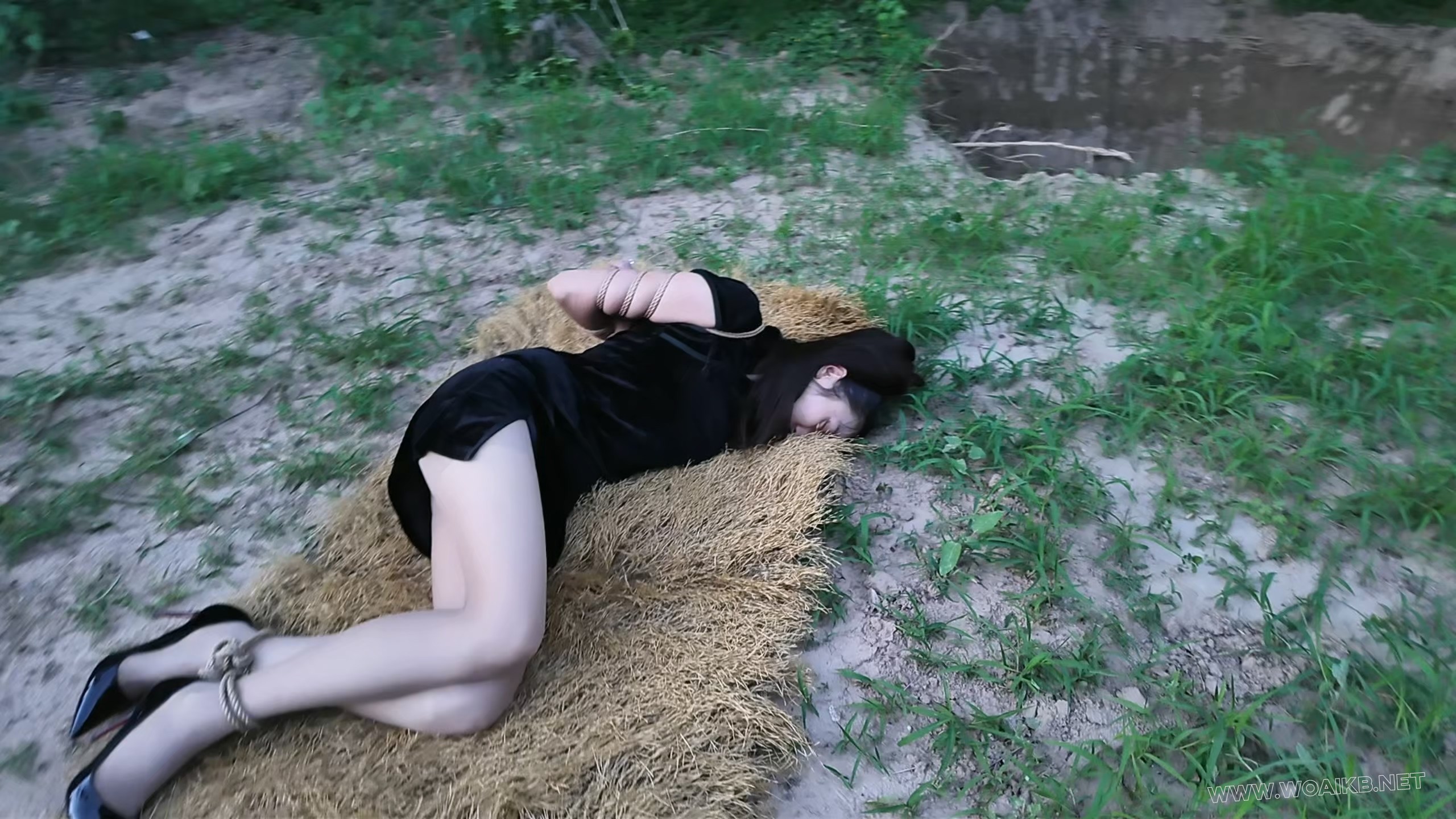 枪决罪犯佳佳 预览图
