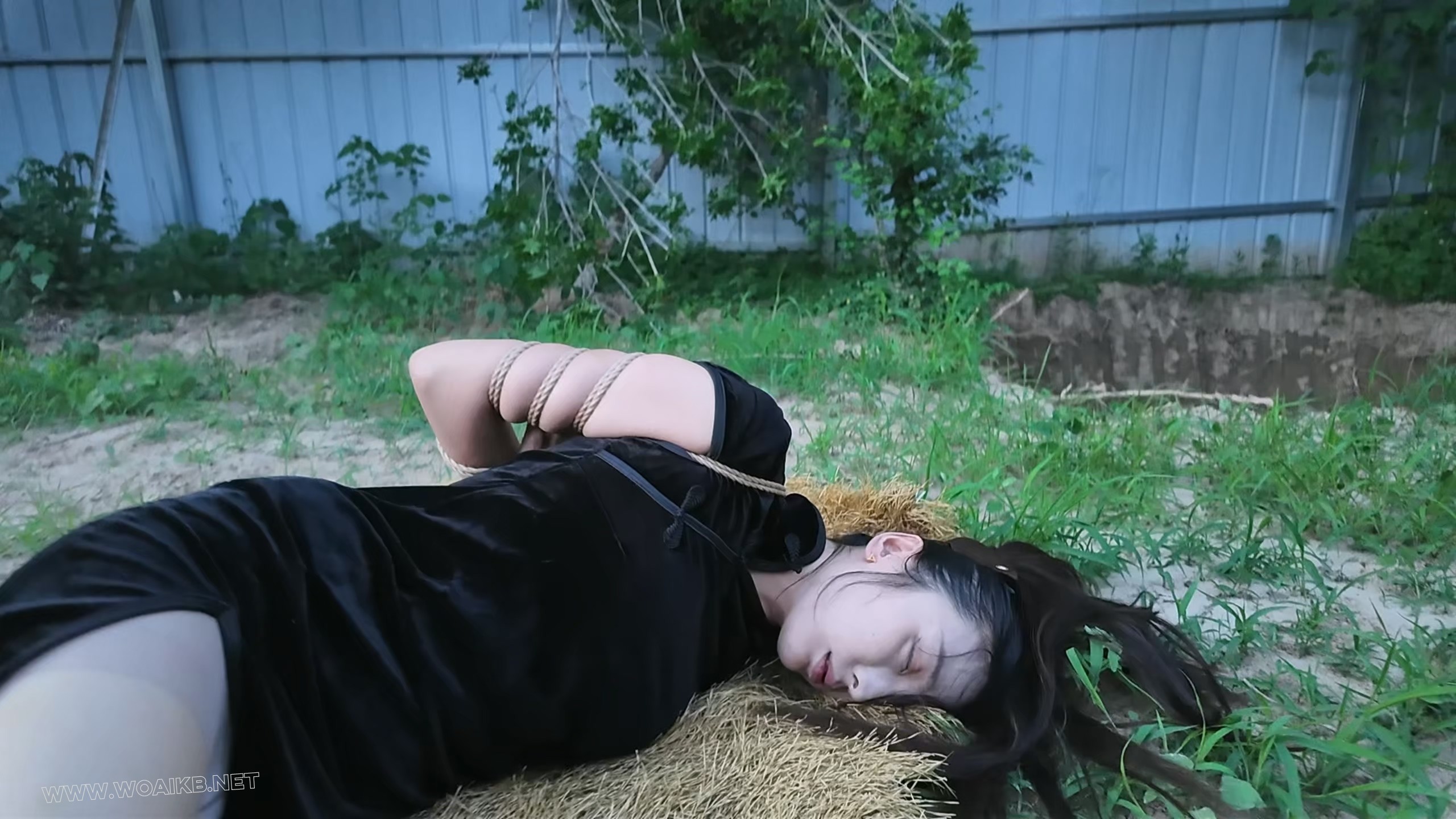 枪决罪犯佳佳 预览图