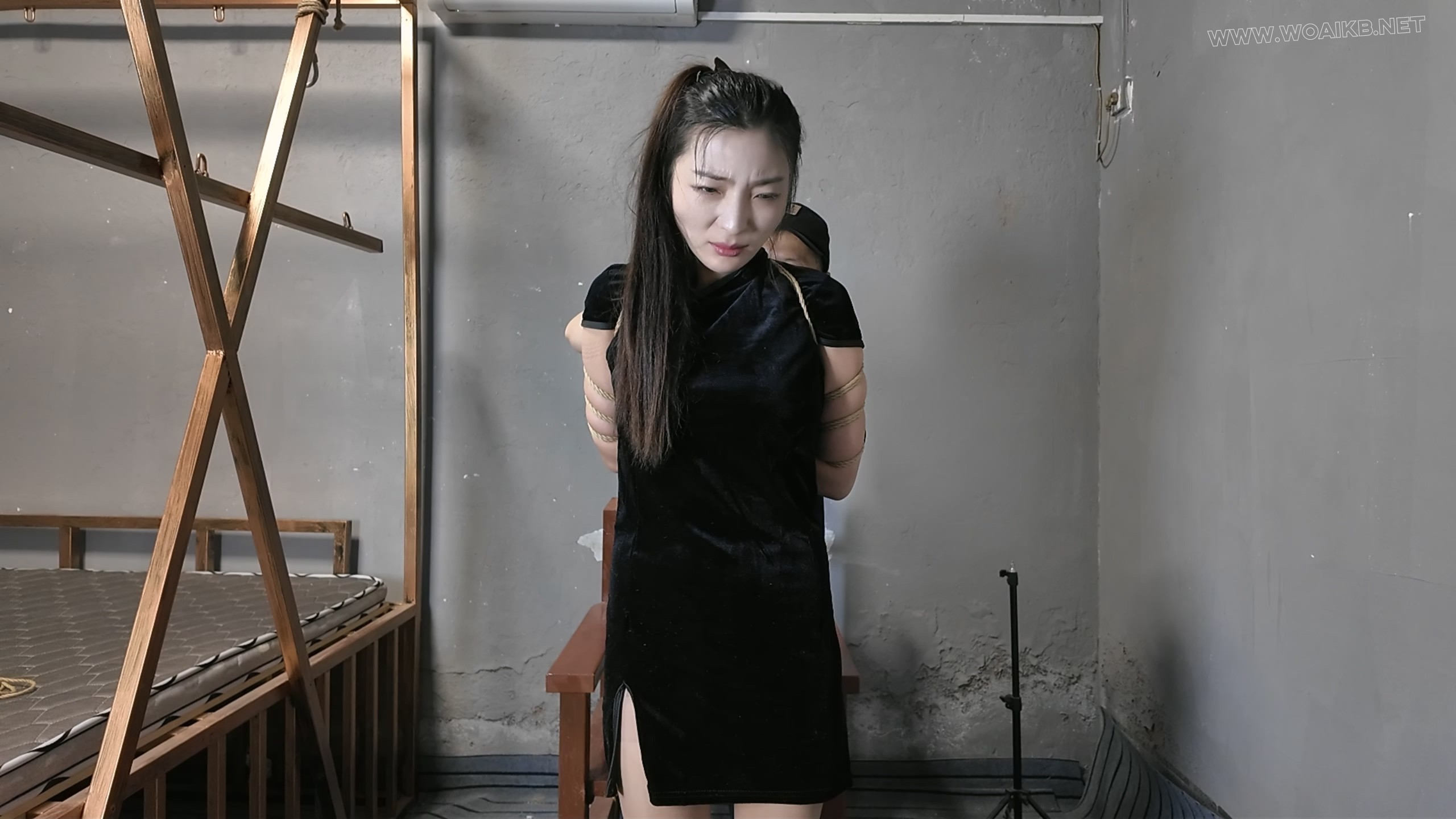 枪决罪犯佳佳 预览图