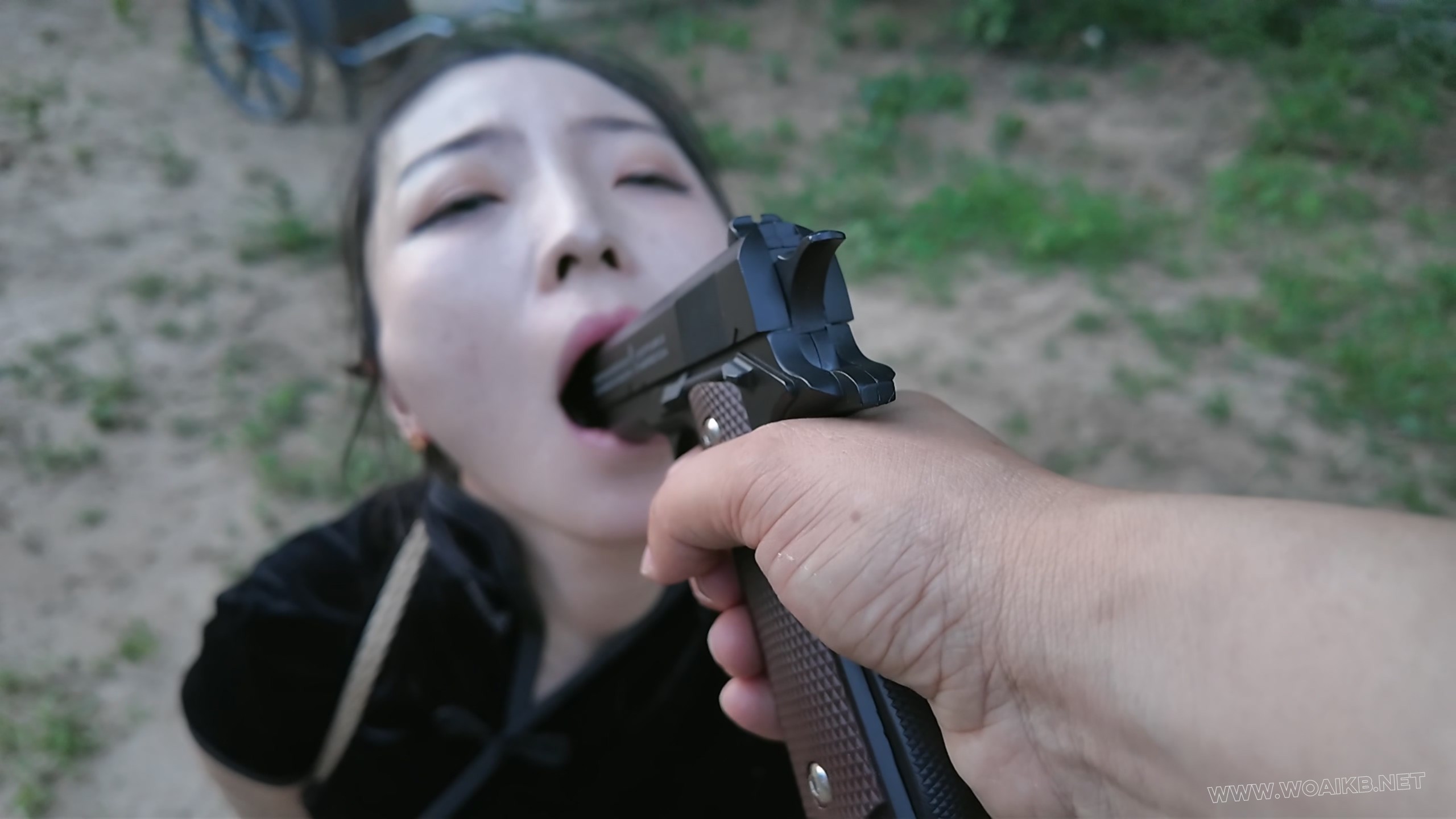 枪决罪犯佳佳 预览图