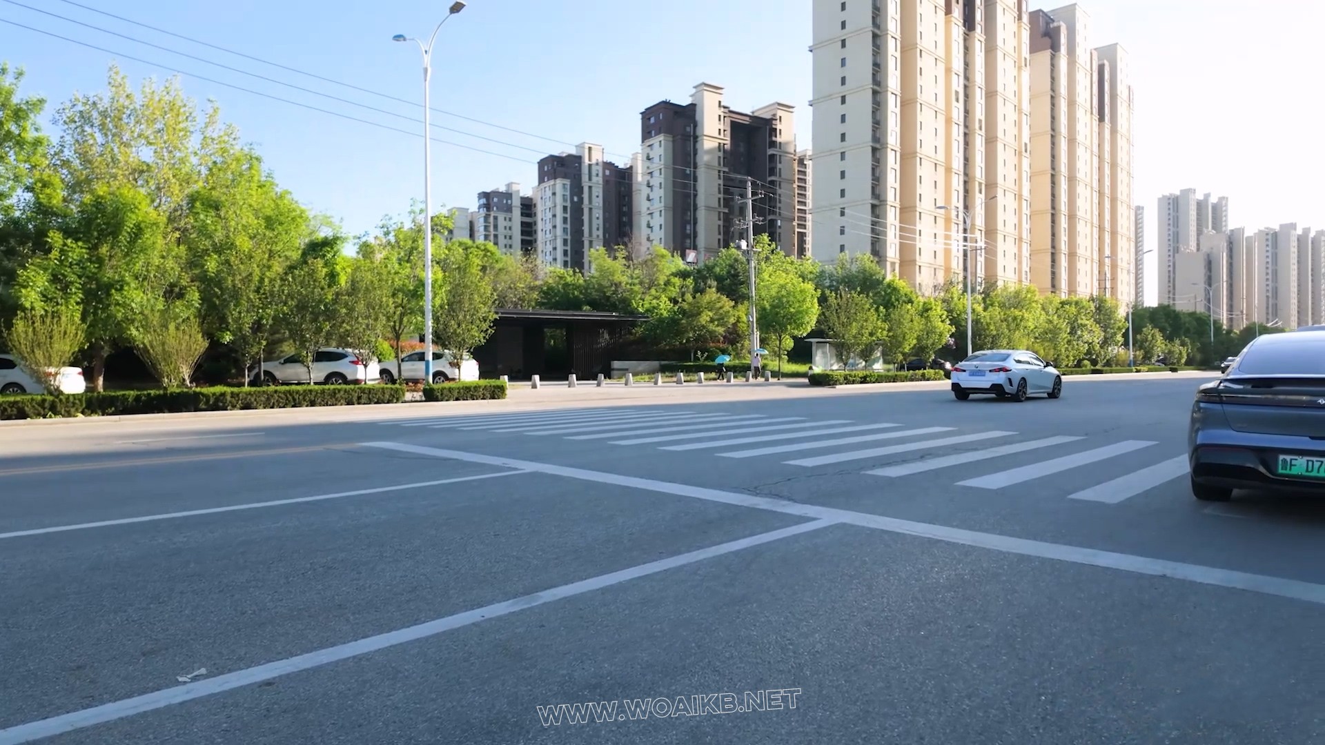 【幼狮】地球人已经无法阻止她在公交车上自振了 预览图