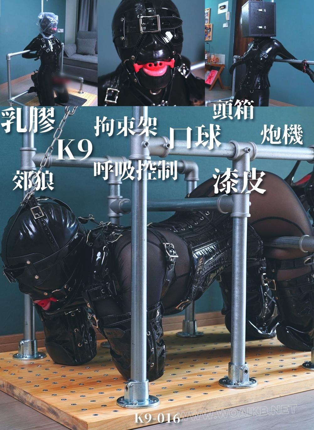 成分复杂的一期 乳胶衣 K9 漆皮拘束具 钢管拘束架 口球 头箱 郊狼 呼吸控制 炮机 ... 预览图 20