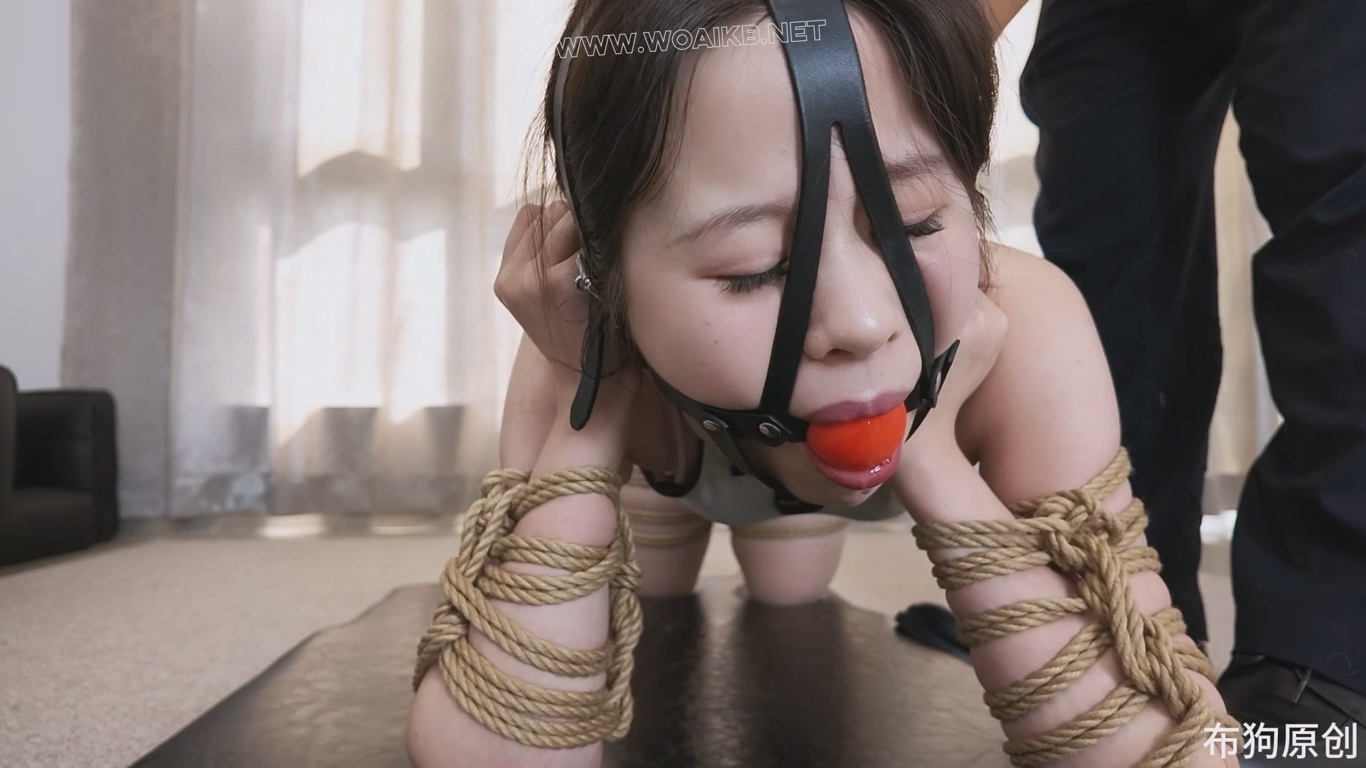森森的K9小犬缚 预览图 15