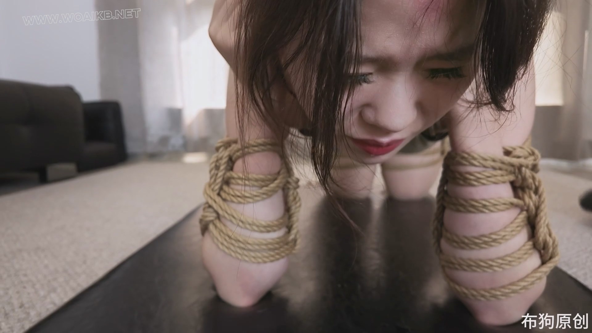 森森的K9小犬缚 预览图 18