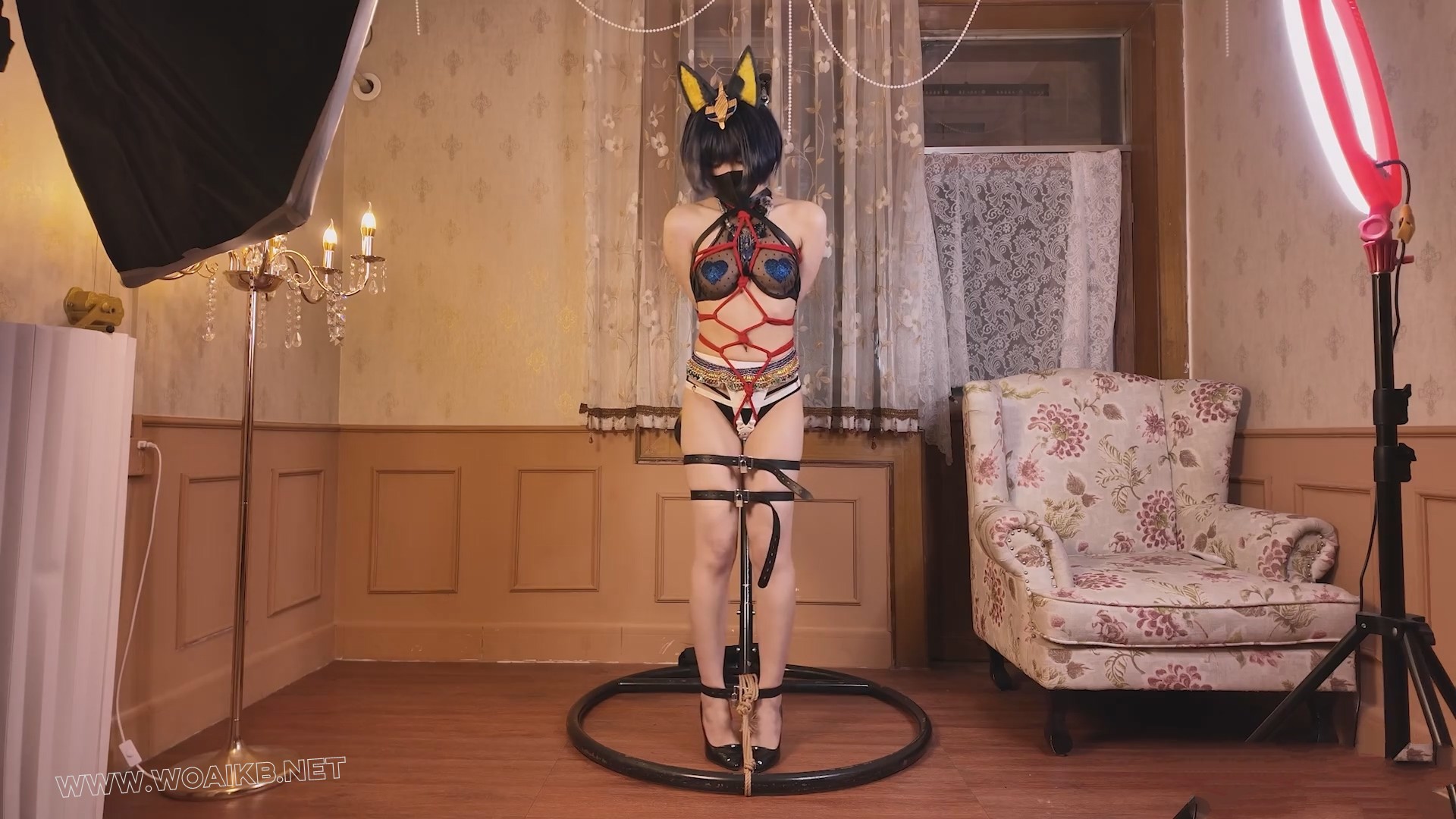 埃及猫拘束{皮带啵啵贝深喉口球开腿抹油乳贴} 预览图 4